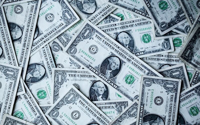 Diplômés d'école de commerce en toge