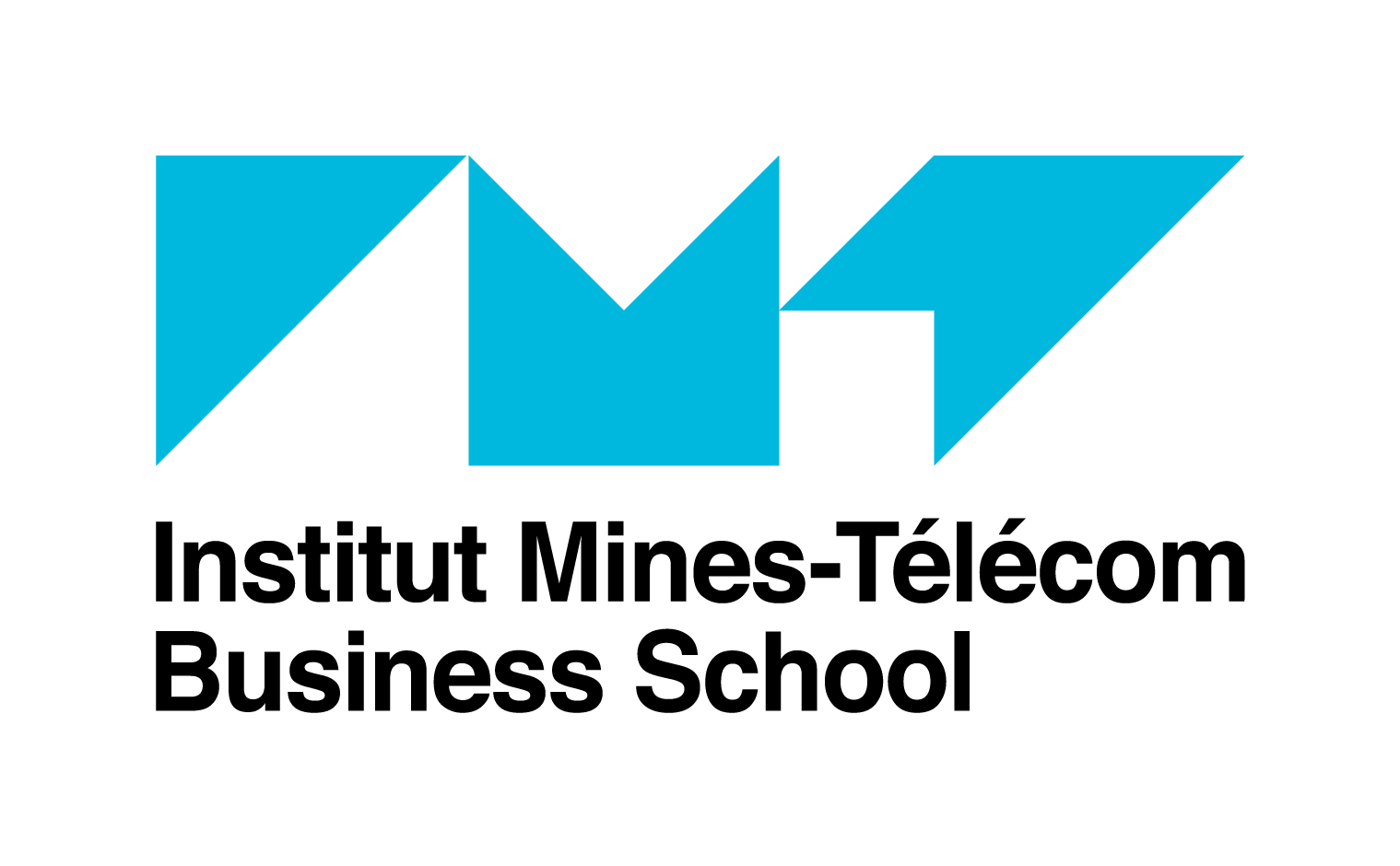 Institut Mines-Télécom Business School
