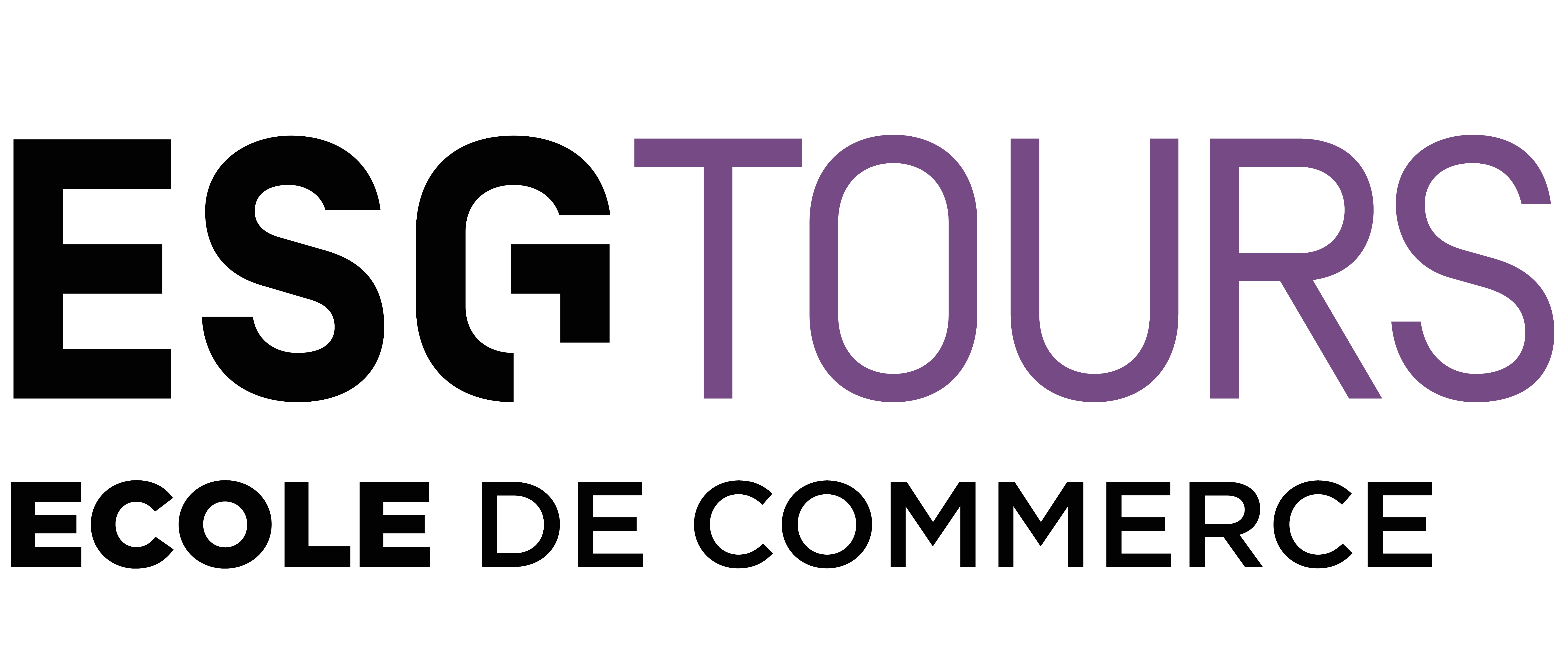 ESG TOURS ECOLE DE COMMERCE