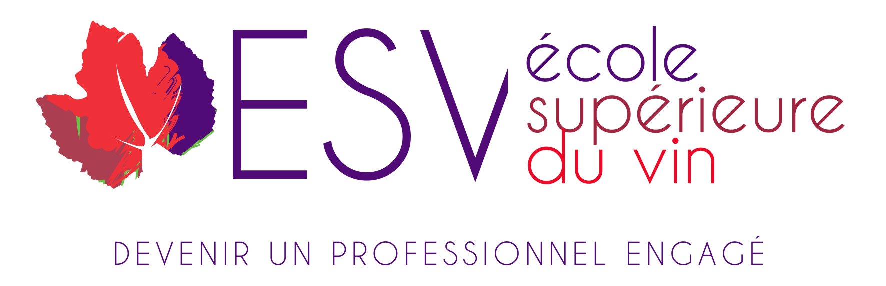Ecole Supérieure du Vin